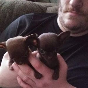 Meet your Posher, Lori